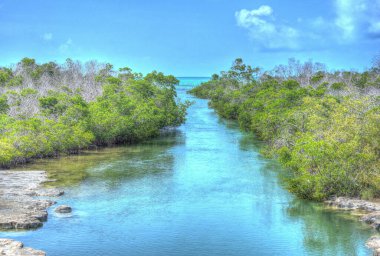Sugarloaf Key Zıplama Köprüsü Köprüsü Köprüsü, Florida Keys Köprüsü 'ne bakıyor.
