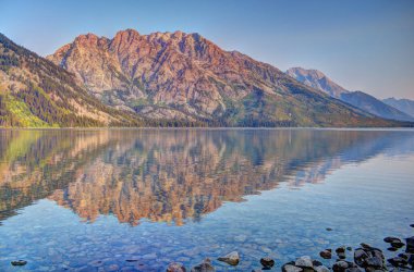 Jenny Lake Grand Teton Ulusal Park Geyiği, WY