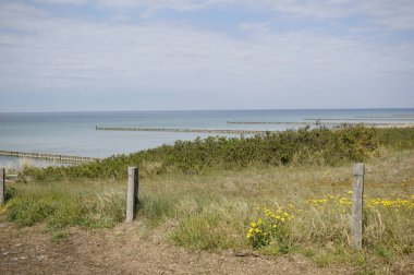 Mecklenburg-Vorpommern 'deki Ada Hiddensee plajı (Almanya)