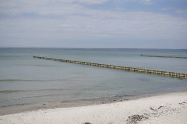 Mecklenburg-Vorpommern 'deki Ada Hiddensee plajı (Almanya)
