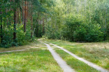Potsdam (Brandenburg), Almanya 'da Wildpark' ın batısındaki kavşak..