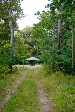 Almanya 'da Potsdam' da (Brandenburg) Wildpark West 'te dinlenme alanı.