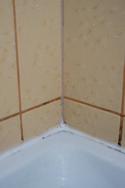 Black mold and damp stains on bathroom tile grout and sealant due to excess humidity clipart