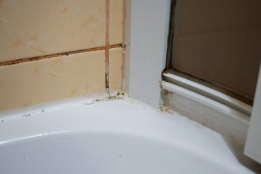 Duş kapısı çerçevesi ve banyo fayansları üzerindeki küf ve kirlilik nem ve kötü havalandırmadan kaynaklanıyor.