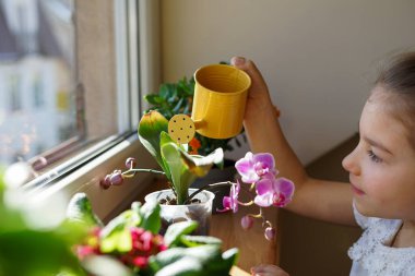 Genç bir kız kapalı alandaki bitkilerle ilgilenir, onları güneş ışığında sarı bir su bidonuyla sular.