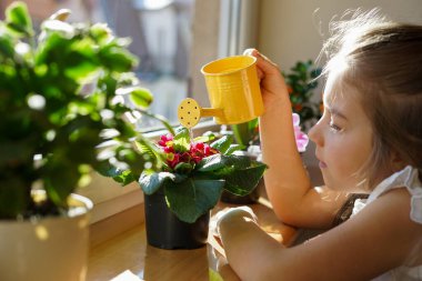 Genç bir kız güneş ışığıyla aydınlatılmış bir pencerenin yakınındaki saksı bitkisini sulayarak doğanın güzelliğinin tadını çıkarıyor.