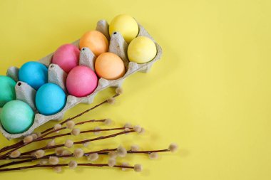 Colorful dyed eggs in a gray carton with pussy willow twigs, symbolizing Easter and spring