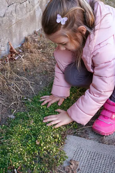 Küçük bir kız baharın başında bir duvarın yakınındaki taze yeşil çimlere dokunup keşfediyor.