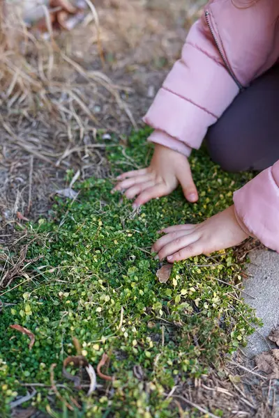 Küçük kızın ellerinin, baharın başında yerdeki yeşil bitkileri keşfetmesi.