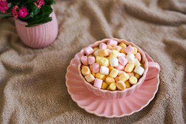 Pastel şekerlemelerle kaplı sıcak bir tatlı, kitapla sıcak bir an için mükemmel.