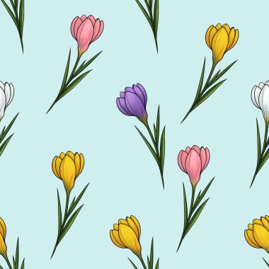 Renkli Crocuslar Kusursuz Desen Büyük Tasarım Mavi Parmak izi ve Ev Dekorasyonu Arkaplanı