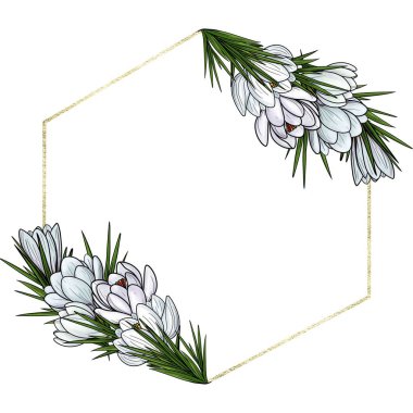 Crocus Çiçeği Klasik Altıgen Çerçeve Davetler, Posterler ve Markalar için Zarif Geometrik Sınır