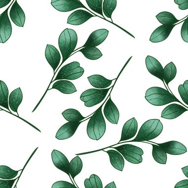 Kusursuz Büyük Okaliptüs Beyaz Arkaplanda Desen Bırakıyor