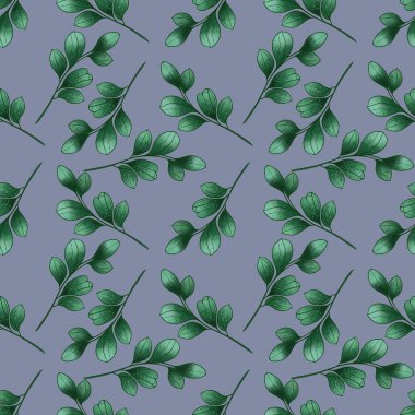 Kusursuz Küçük Okaliptüs Yumuşak Mor Arkaplanda Kalıp Bırakıyor