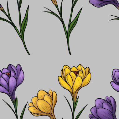 Gri Arkaplanda Büyük Tasarım 'da Bahar Mor ve Sarı Crocuses