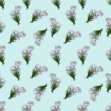 Pastel Mavi Arkaplanda Küçük Beyaz Crocus Buketi