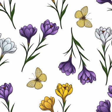 Bahar Crocuses in Purple, White, and Yellow with Soft Yellow Butterfly in Big Design for Dekorative Uses