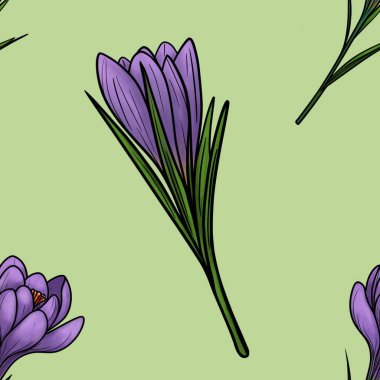 Taze Yeşil Arkaplanda Büyük Tasarım Buds ile Bahar Mor Crocuses