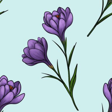 Pastel Mavi Arkaplanda Büyük Tasarım Mor Crocuses
