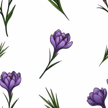 Yaratıcı Uygulamalar İçin Büyük Tasarım Yapraklı Bahar Mor Crocuses