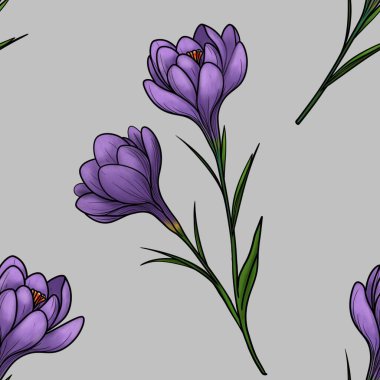 Gri Arkaplanda Büyük Tasarımda Bahar Mor Crocuses