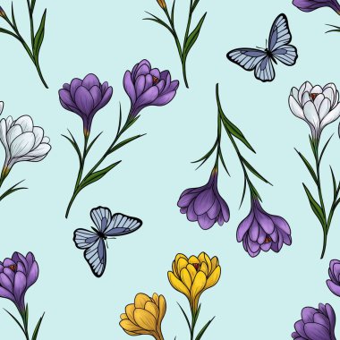 Bahar Crocuses in Purple, White, and Yellow with Butterfly in Big Design on Pastel Blue Background