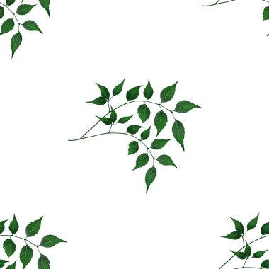 Basit Yapraklar Kusursuz Kalıp Arkaplan Parmak izi, Tekstil, Paketleme, Kumaş ve Paket Kağıdı için Büyük Tasarım