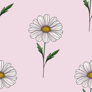 Papatya Desensiz Pastel Pembe Arkaplanda Büyük Tasarım