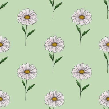 Papatya Desensiz Pastel Yeşil Arkaplanda Küçük Tasarım