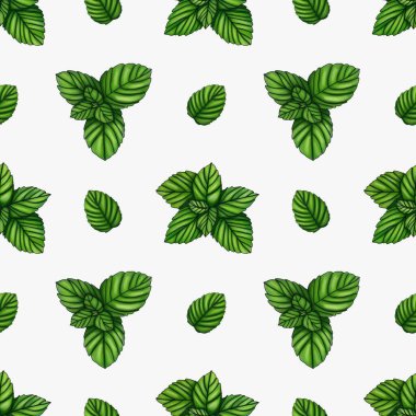 Kusursuz Desenli Taze Naneli Küçük Tasarım Beyaz Arkaplanda