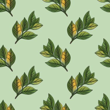 Çay Pastel Yeşil Arkaplanda Küçük Tasarım Bırakıyor