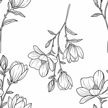 Kusursuz desenli narin ana hatlı Manolya Şubesi Beyaz Arkaplanda Büyük Tasarım