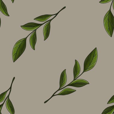 Kusursuz Desenli Yeşil Manolya Pastel Gri Arkaplanda Büyük Tasarım Bırakıyor