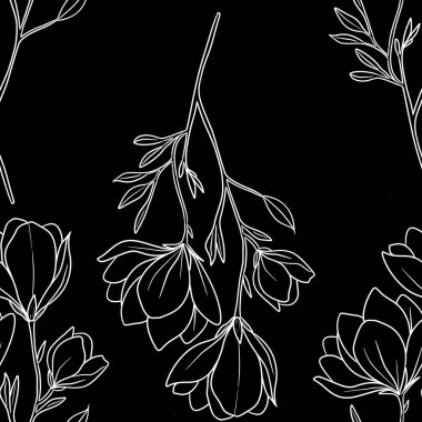 Kusursuz Desenli Manolya Özeti Kara Arkaplanda Büyük Tasarım