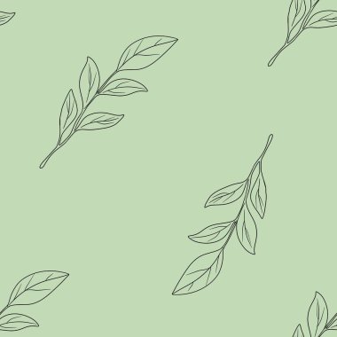 Kusursuz Desenli Şablon Şık Manolya Pastel Yeşil Arkaplanda Büyük Tasarım Bırakıyor