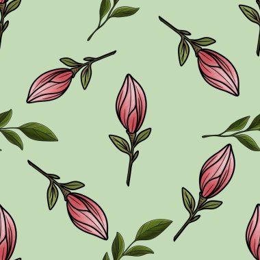 Kusursuz Desensiz Yeşil Manolya Yaprakları Manolya ile Yapraklar Pastel Yeşil Arkaplanda Büyük Tasarım