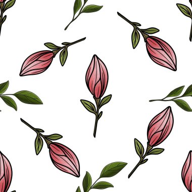 Kusursuz Desensiz Yeşil Manolya Yaprakları Manolya ile Yapraklar Beyaz Arkaplanda Büyük Tasarım