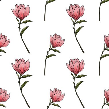 Beyaz Arkaplanda Kusursuz Manolya Çiçeği Küçük Tasarımı