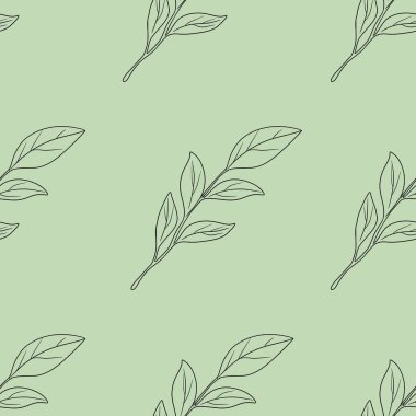 Kusursuz Desenli Manolya Pastel Yeşil Arkaplanda Büyük Tasarım Bırakıyor