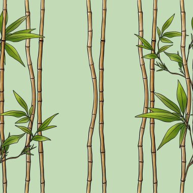 Yeşil Yapraklı Uzun Bambu Sapları Kusursuz Şekilde Büyük Tasarım Pastel Yeşil Arkaplanda