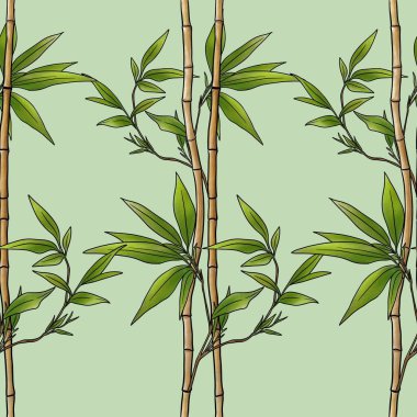 Pastel Yeşil Arkaplanda Kusursuz Bambu Kalıpları Pastel Yeşil Arkaplanda Büyük Tasarım