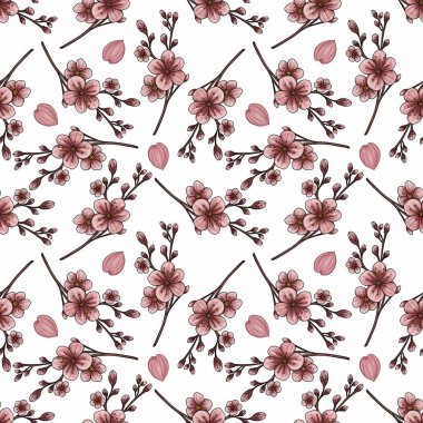 Zarif Dekoratif Dekoratif Şekilde Dağılmış Sakura Çiçekleri ve Yaprakları Beyaz Arkaplanda Küçük Tasarım