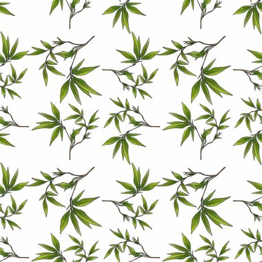 Kusursuz Desen Beyaz Arkaplanda Bambu Küçük Tasarımı Bırakıyor