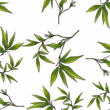 Kusursuz Desenli Bambu Yaprakları Beyaz Arkaplanda Büyük Tasarım