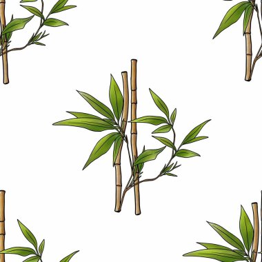 Beyaz Arkaplanda Kusursuz Bambu Deseni Beyaz Arkaplanda Büyük Tasarım