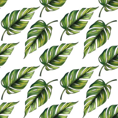 Canavar beyaz arkaplanda pürüzsüz bir iz bırakır