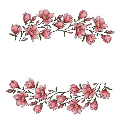 Beyaz arkaplanda iki yatay kenarda dizilmiş pembe manolya çiçekleri tasviri.