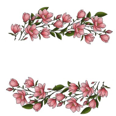 Beyaz arkaplanda iki yatay kenarda sıralanmış yeşil yapraklı pembe manolya çiçekleri tasviri.