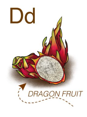 D harfi ve Ejderha Meyve İllüstrasyonlu Çocuklar için Meyve Alfabesi Kartı