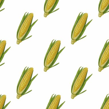 Yeşil kabuklu koçanlarda taze mısır bulunan kusursuz bir desen, beyaz arka planda tekrarlanan bir dizayn..